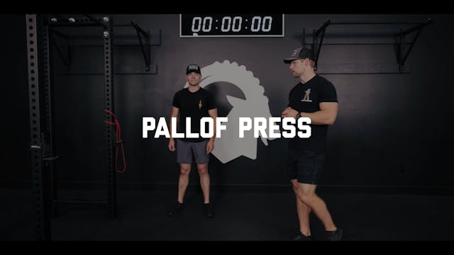 FORM - Pallof Press