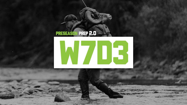 PP2-W7D3