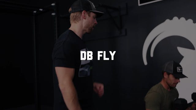 FORM - DB Fly