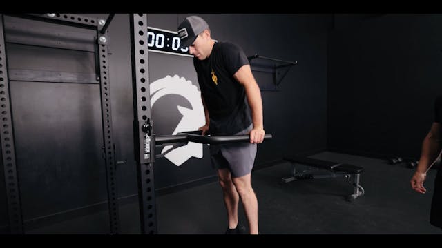 FORM - Tricep Dips