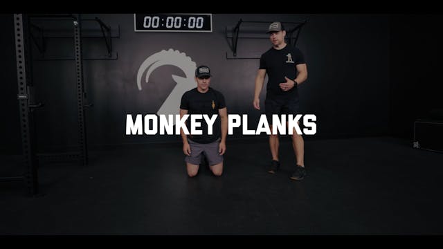 FORM - Monkey Planks