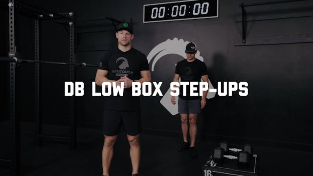 FORM - DB Low Box Step-up