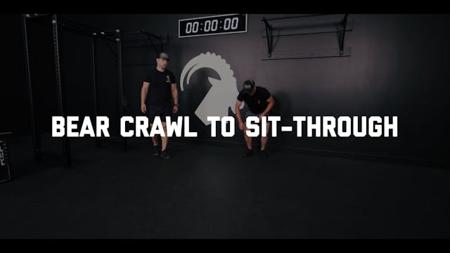 FORM - Bear Crawl to Sit-Through