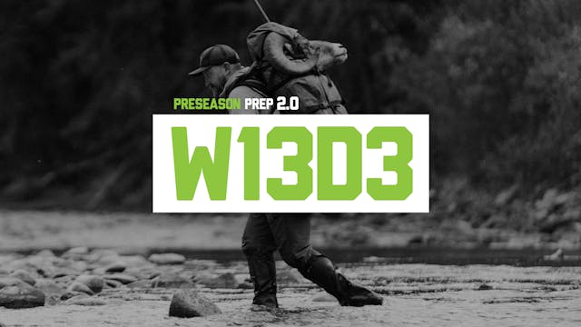 PP2-W13D3