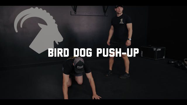 FORM - Bird Dog Push-up