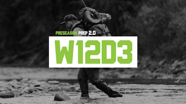 PP2-W12D3