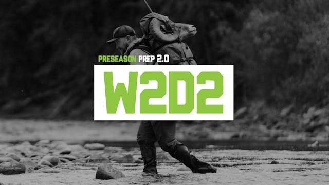 PP2 - W2D2
