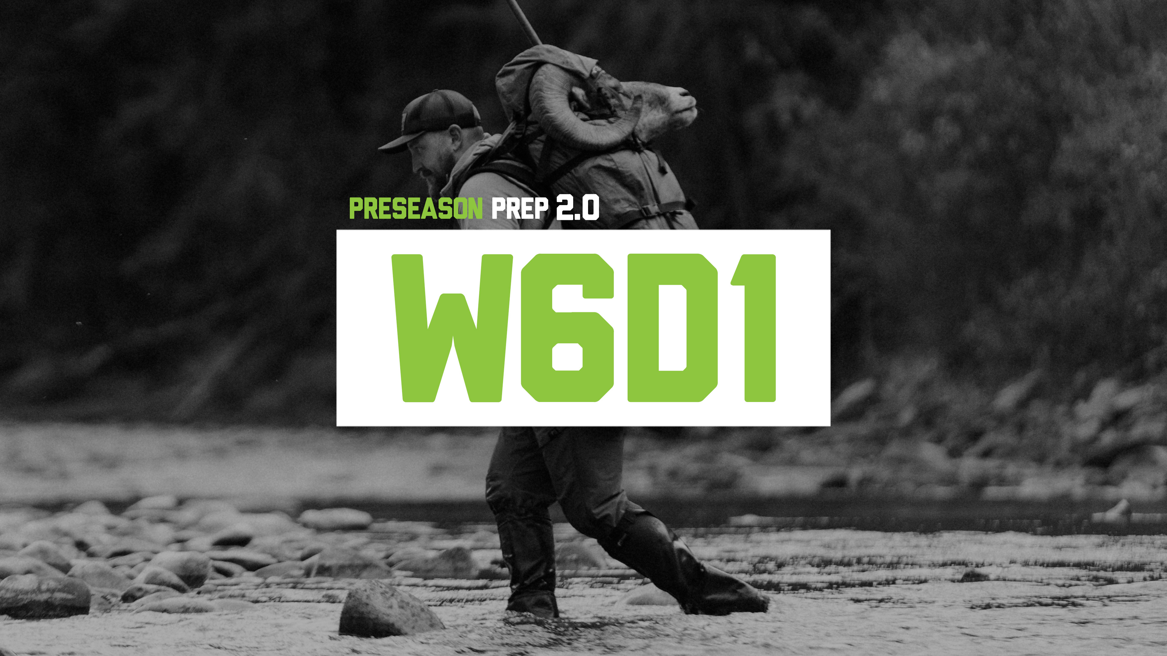 PP2 - W6D1