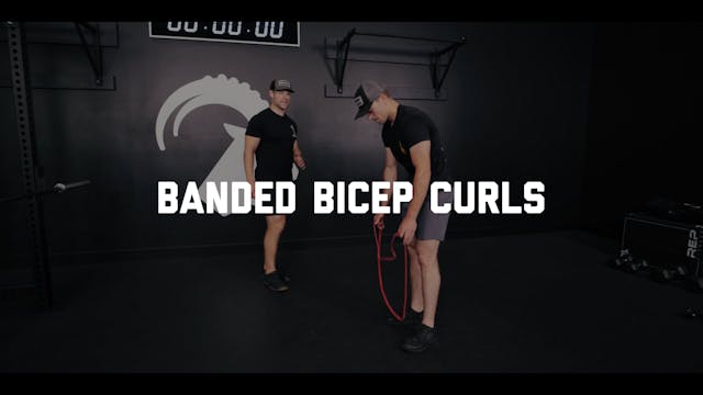 FORM - Banded Bicep Curls