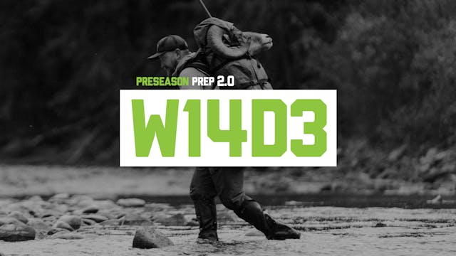 PP2 - W14D3