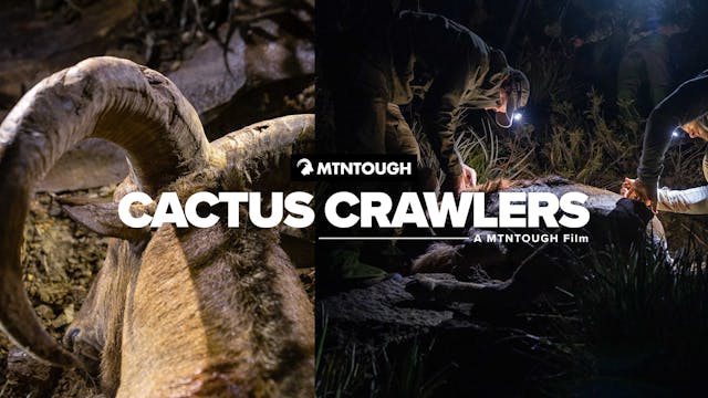 Cactus Crawlers | A Mexico Aoudad She...