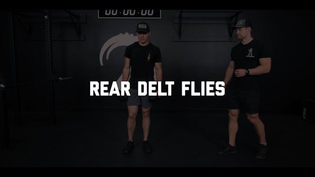 FORM - Rear Delt Flies