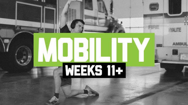 PS1 - Mobility Weeks 11+