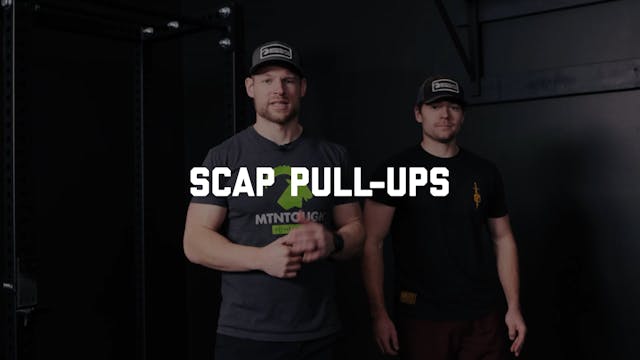 FORM - Scap Pull-ups