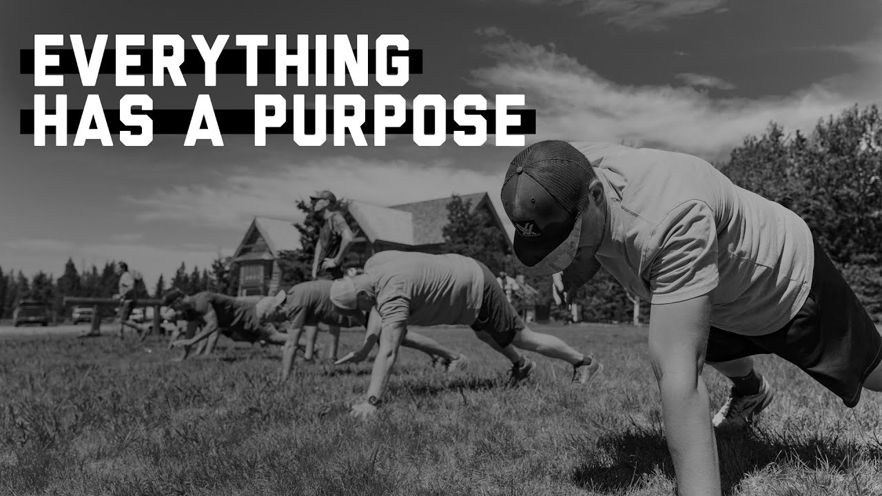 Everything Has a Purpose