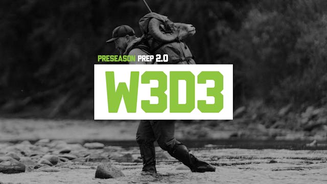 PP2-W3D3