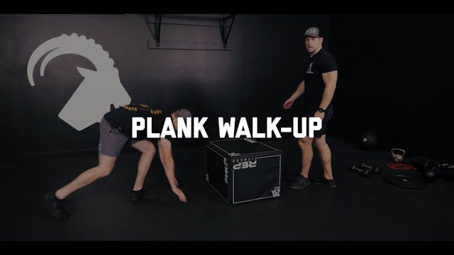 FORM - Plank Walk-up