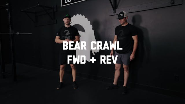 FORM - Bear Crawl FWD + REV