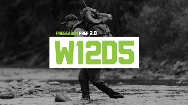 PP2-W12D5