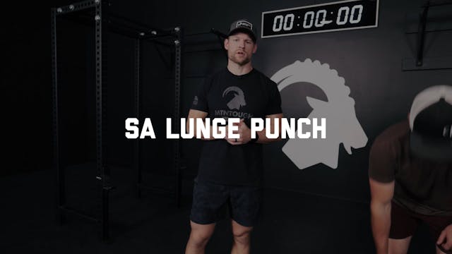 FORM - SA Lunge Punch