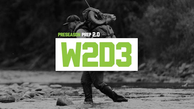 PP2-W2D3