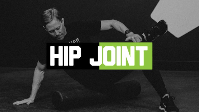 PT2 - Hip Joint