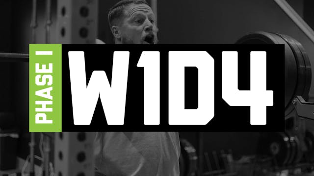 MS - W1D4