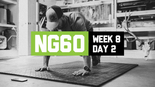 NG60 - W8D2