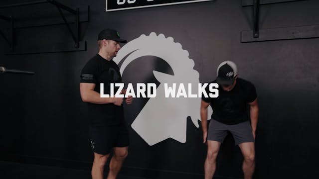 FORM - Lizard Walks