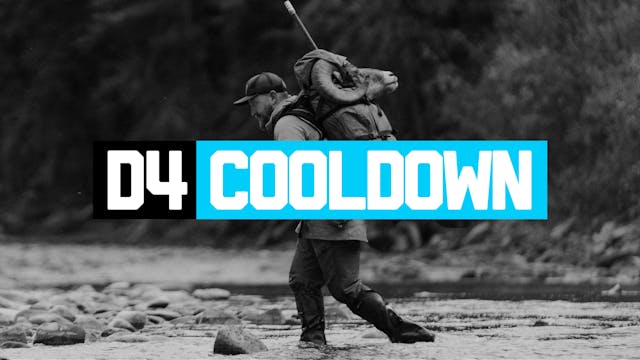 D4 Cooldown