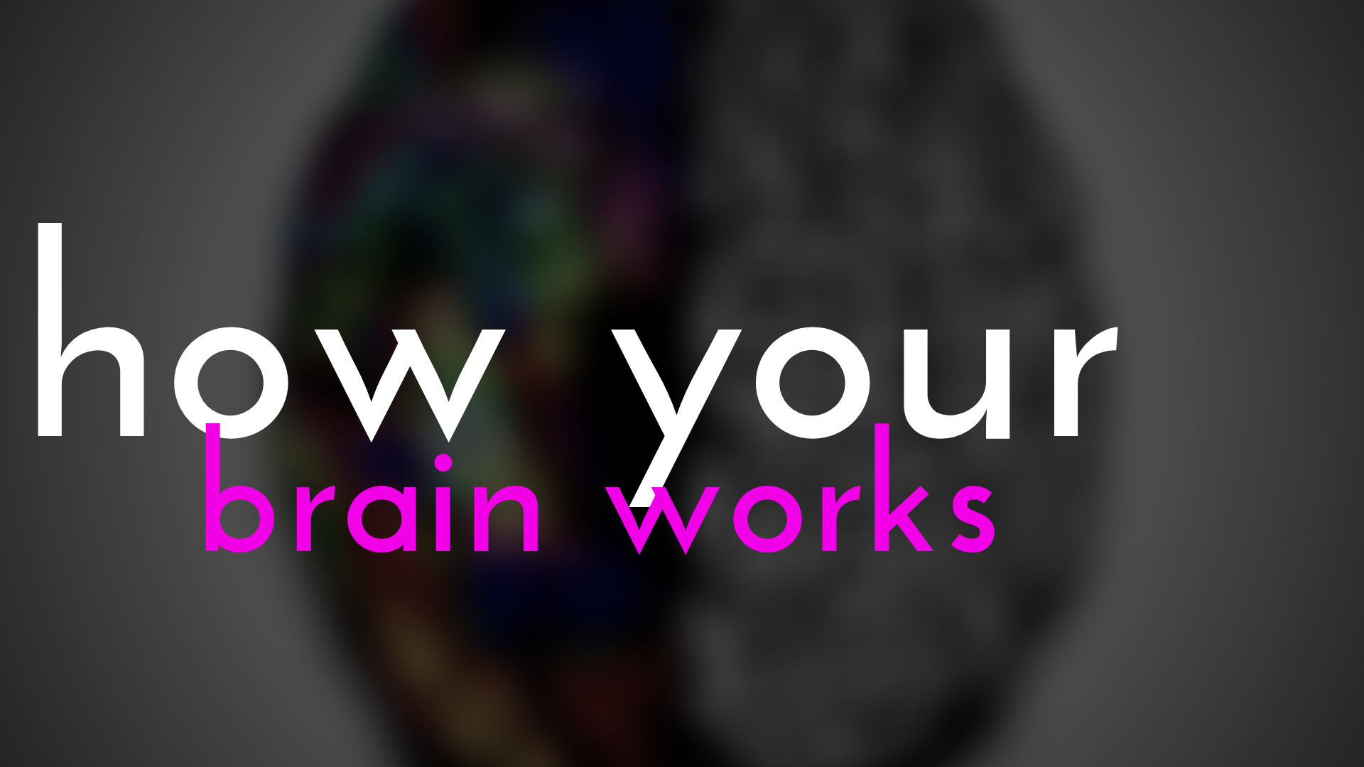 How Your Brain Works