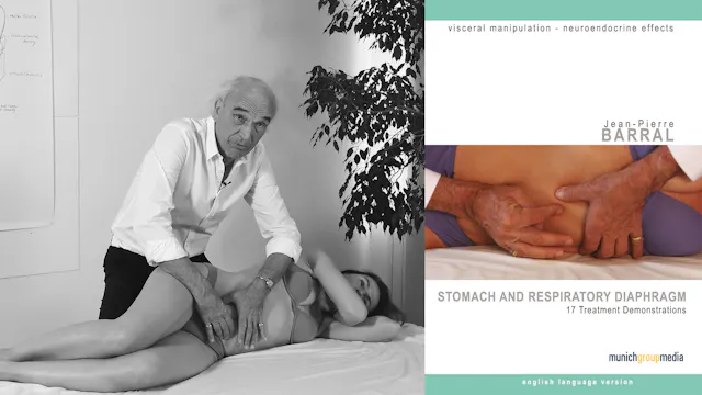 Stomach & Respiratory Diaphragm