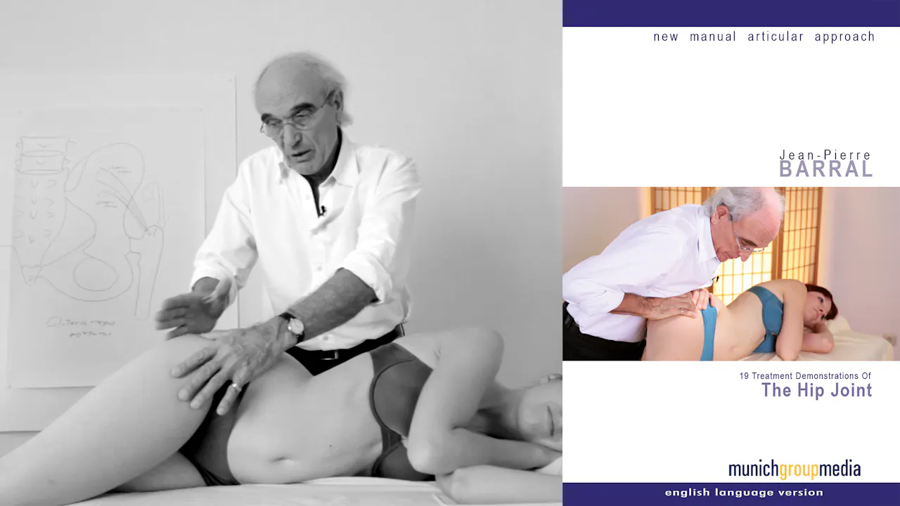The Hip Joint