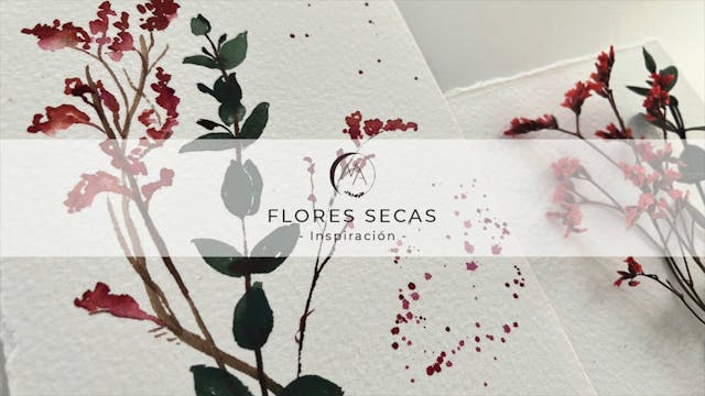 Inspiración: Flores secas sin boceto