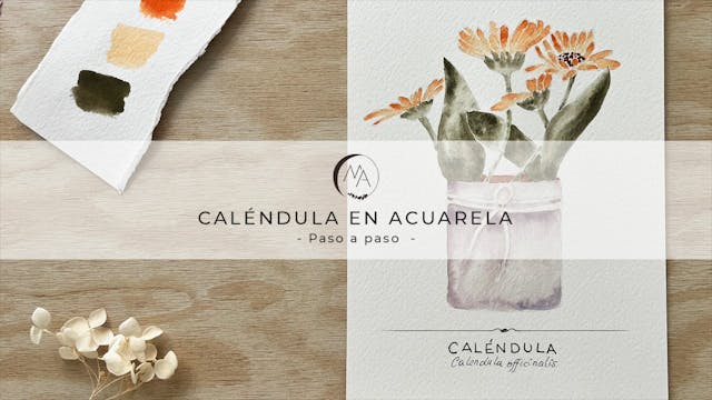 Caléndula en acuarela
