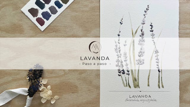 Lavanda en acuarela