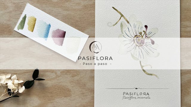 Pasiflora en acuarela