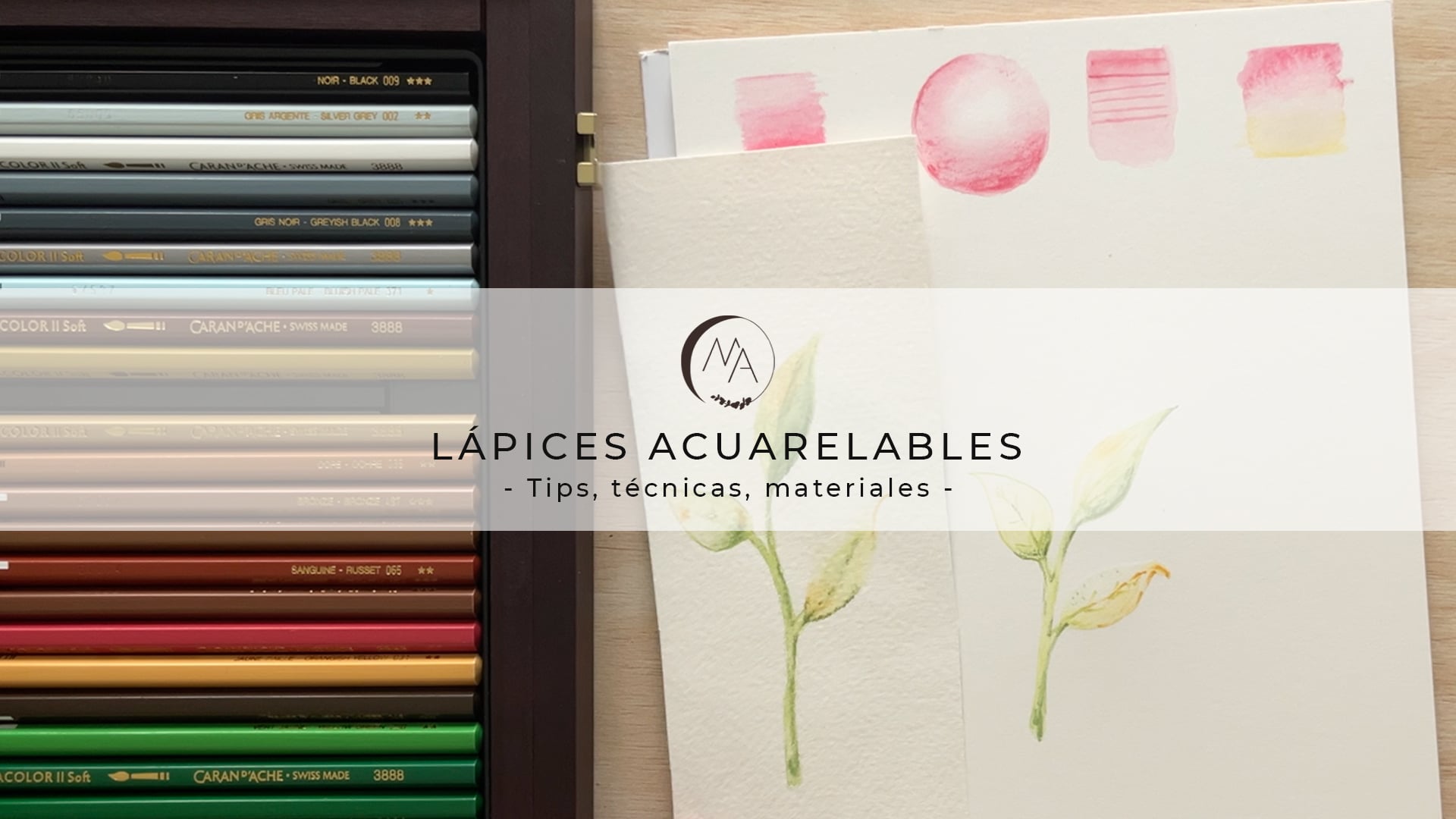 Lápices acuarelables- Clase Musa de Acuarela