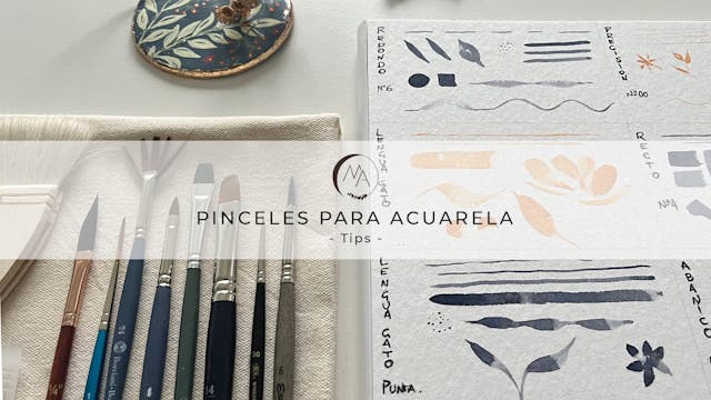 Pinceles para acuarela y sus trazos- ...