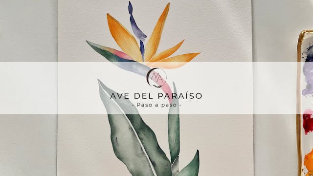 Ave del paraiso- Clase acuarela paso ...