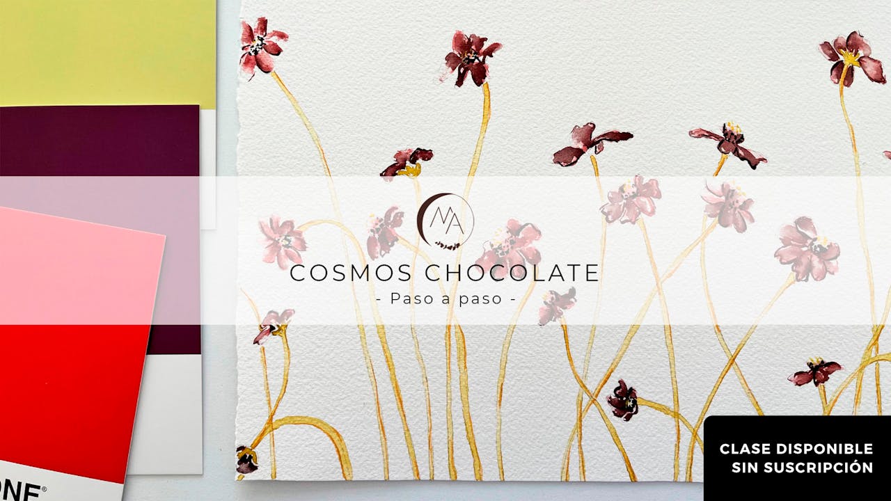 Pintar campo de Cosmos en acuarela- Paso a paso