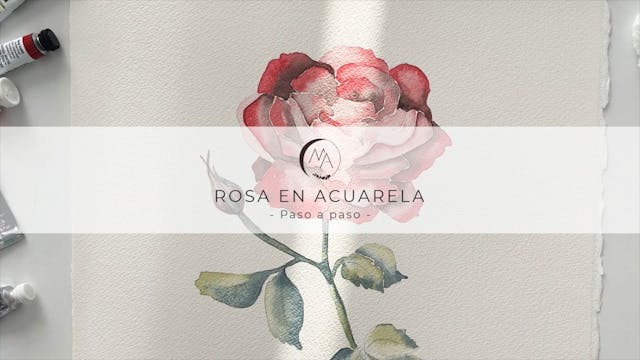 Pintar rosa en acuarela- Paso a paso