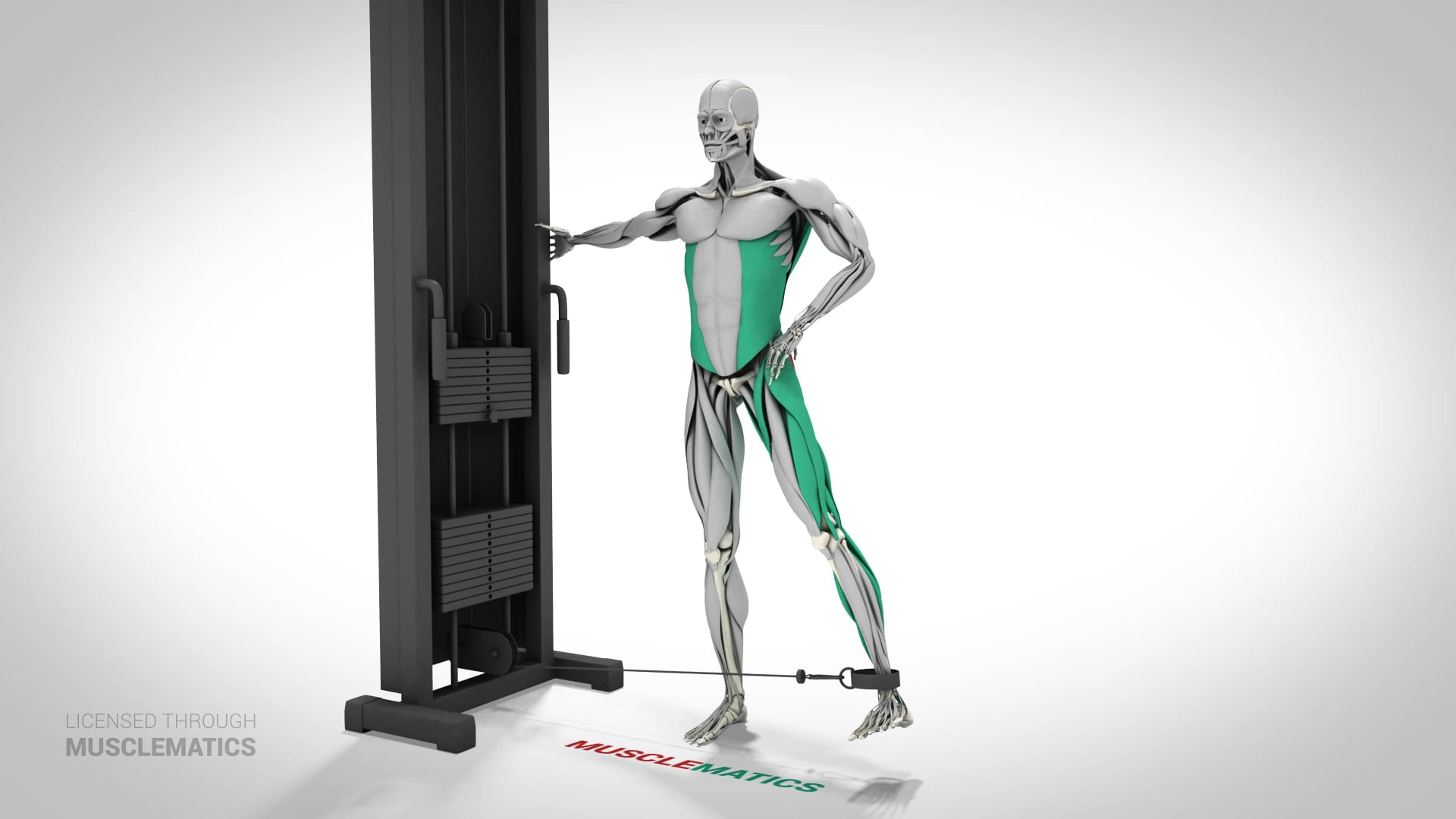 Cable Hip Abductions - (View 3) - LEFT