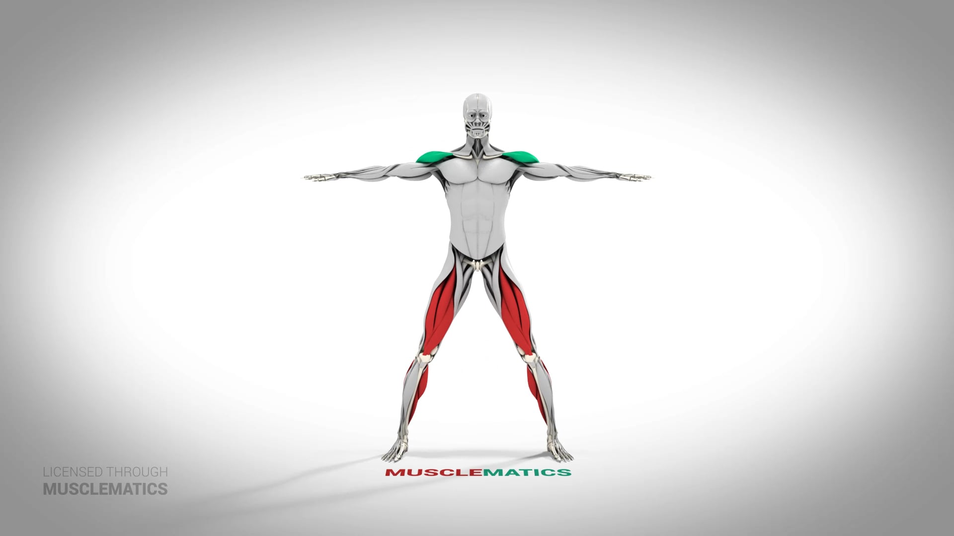 Cross-Arm Jumping Jacks - (All Views)