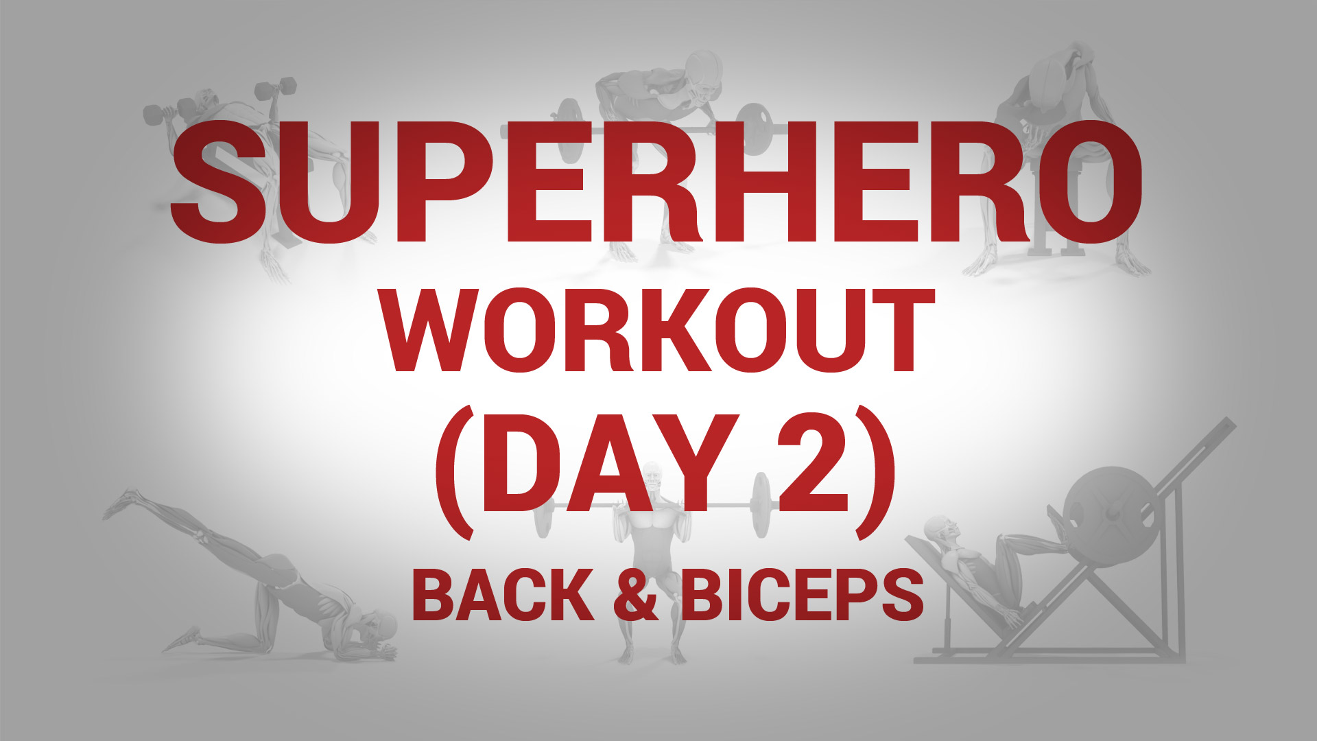 Superhero Workout (Day 2) - BACK & BICEPS
