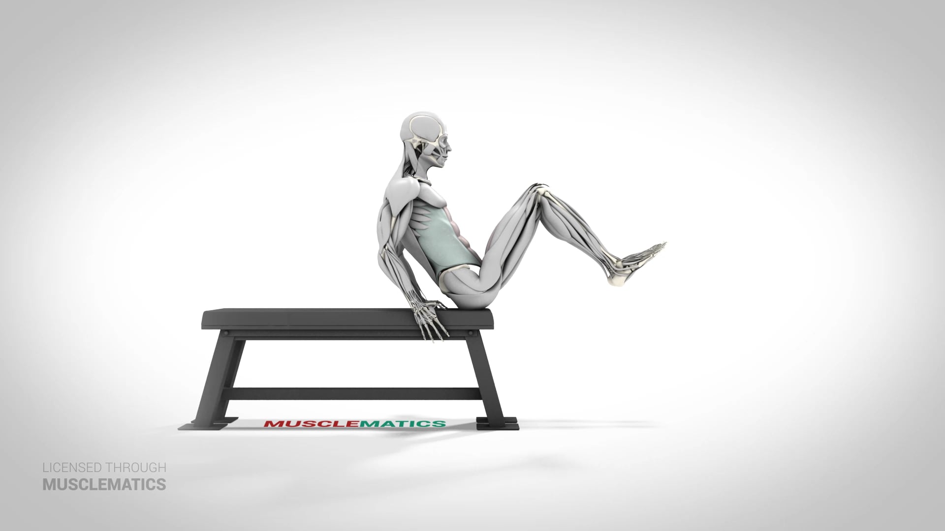 Seated Knee-Up - (View 1)