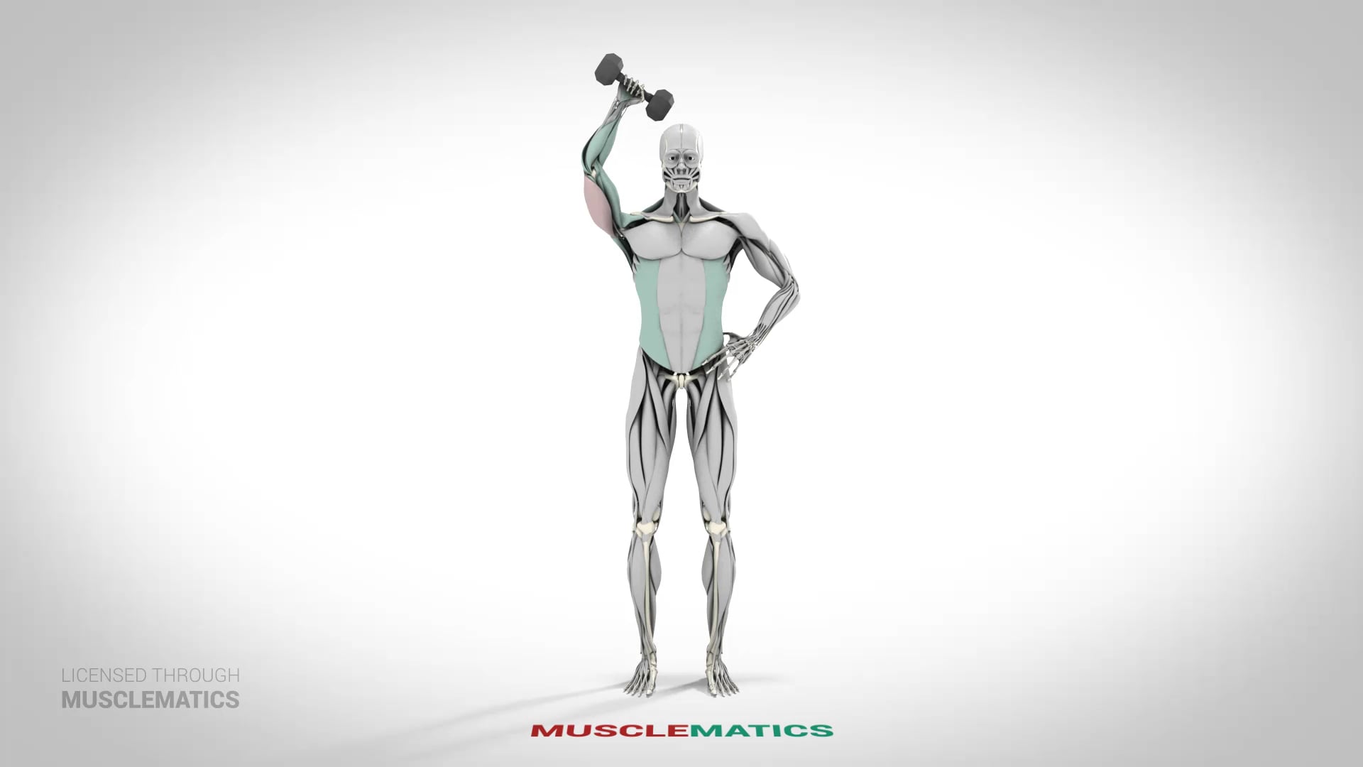 One-Arm Dumbbell Triceps Extensions - (View 1)