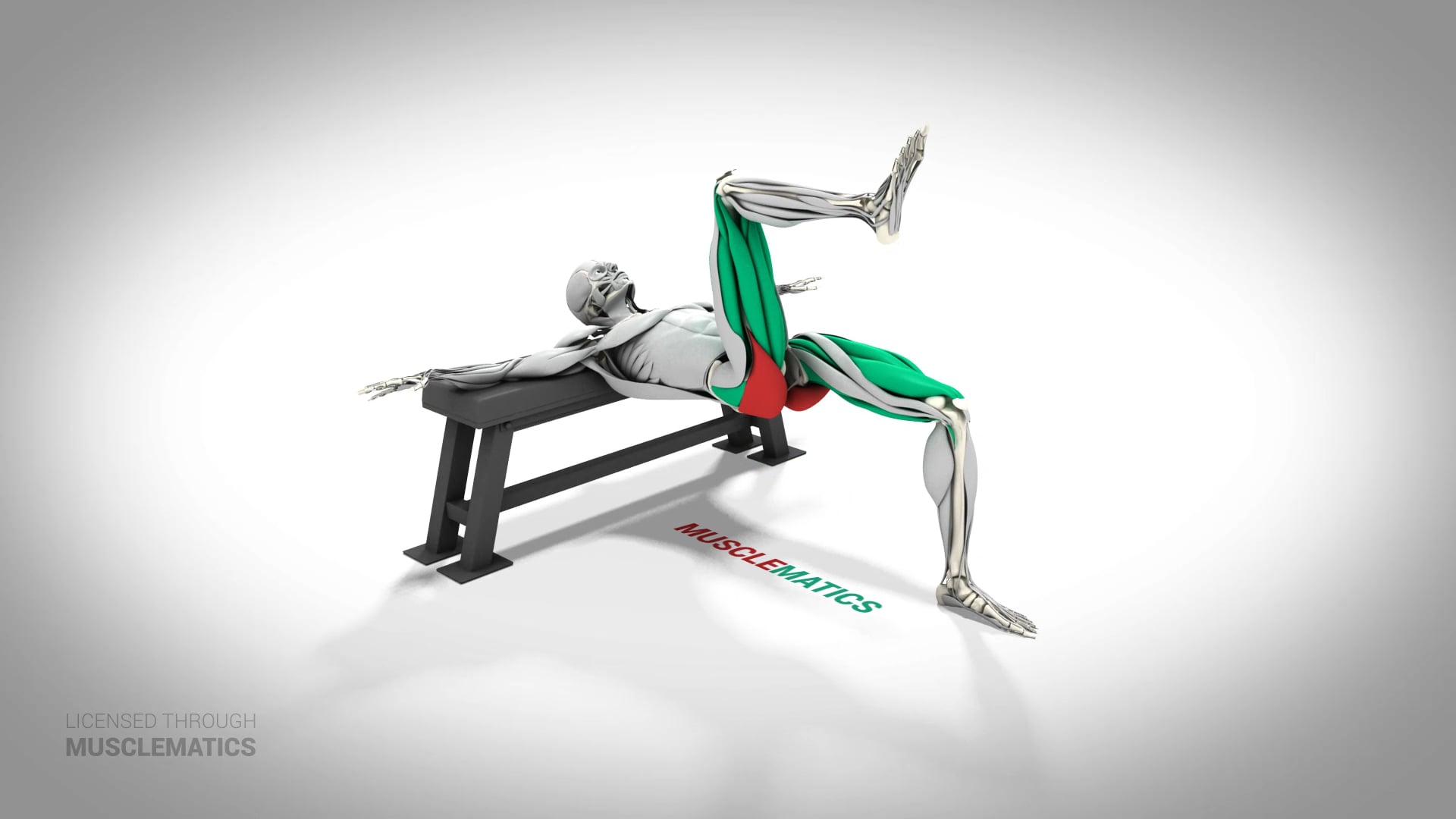 Incline Hip Thrust With March - (All Views)