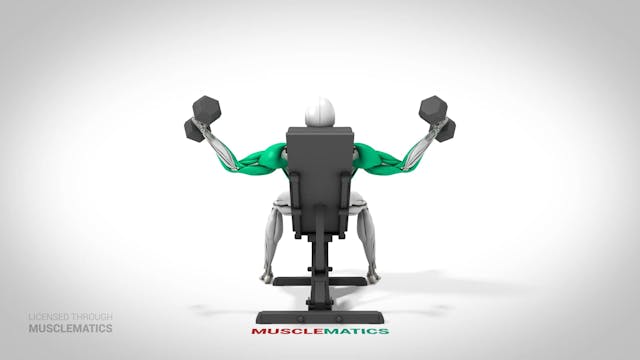 Incline Dumbbell Flys - (View 3)