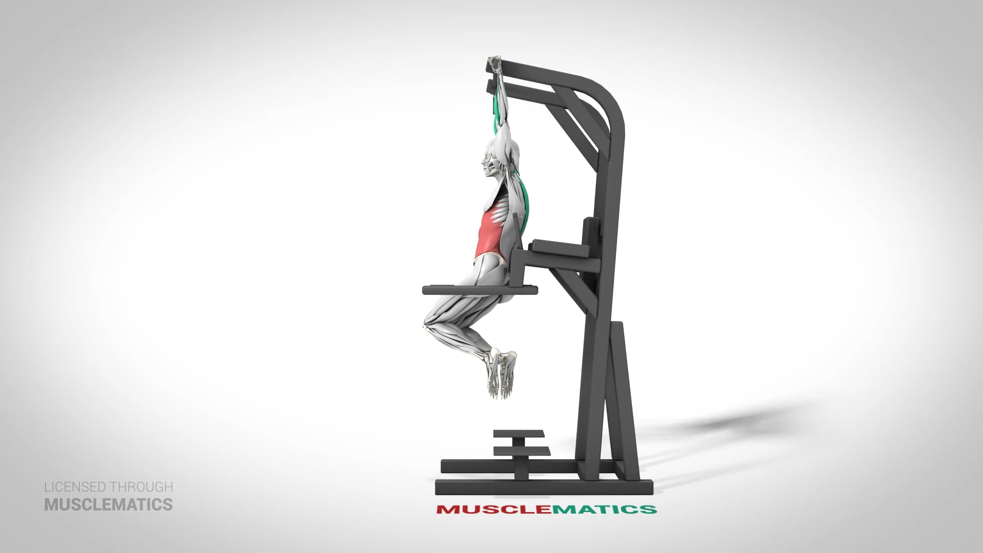 Oblique Hanging Leg Raise - (View 2) - LEFT